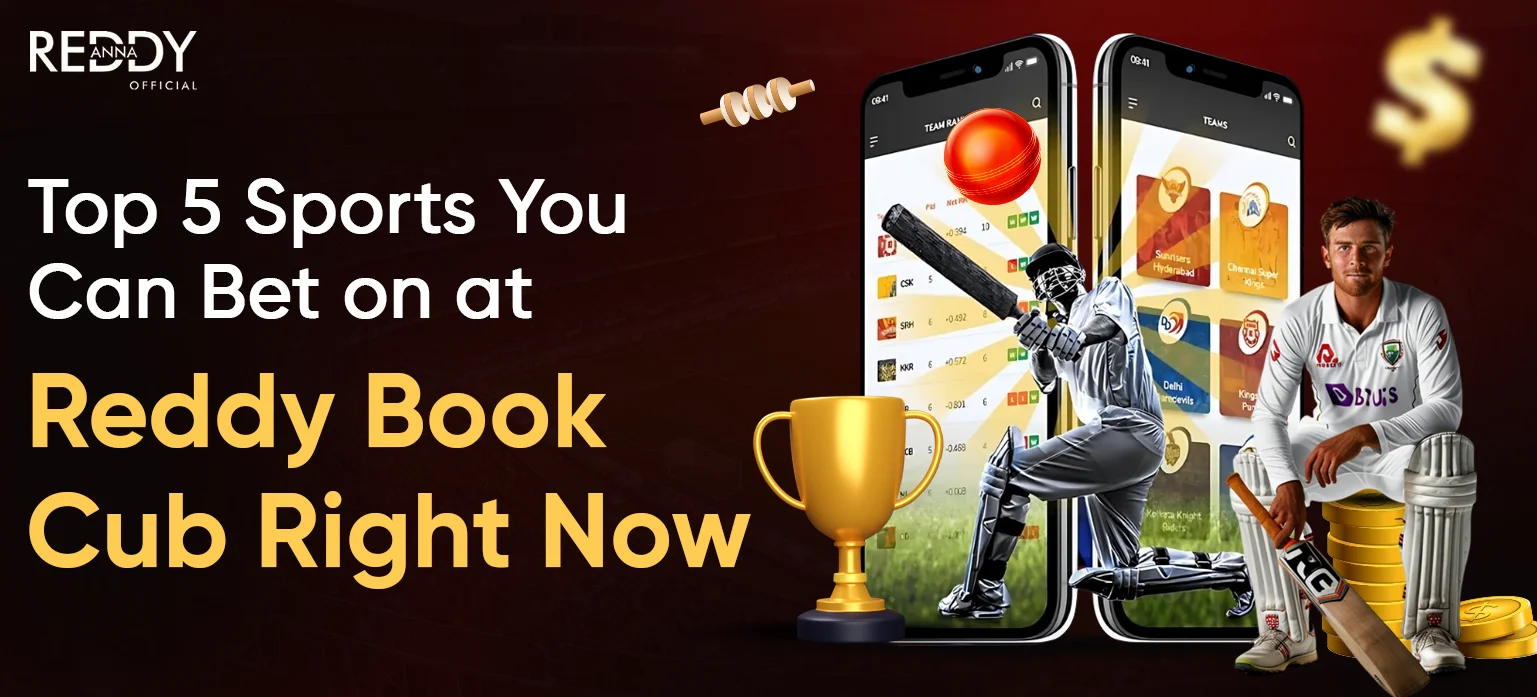 Top 5 Sports You Can Bet on at Reddy Book Cub Right Now